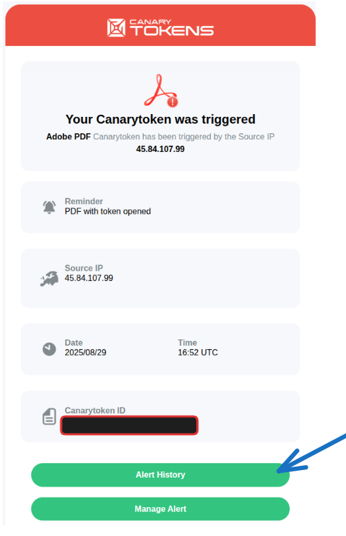 Investigating Canary Token&nbsp;documents